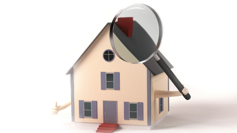 What is HUD Inspection